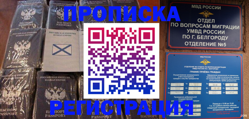 прописка гарантия в Заинске